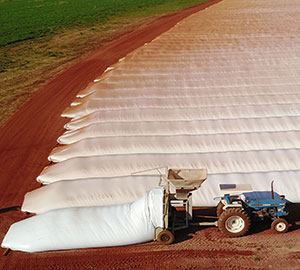 Grain Bags Category Image