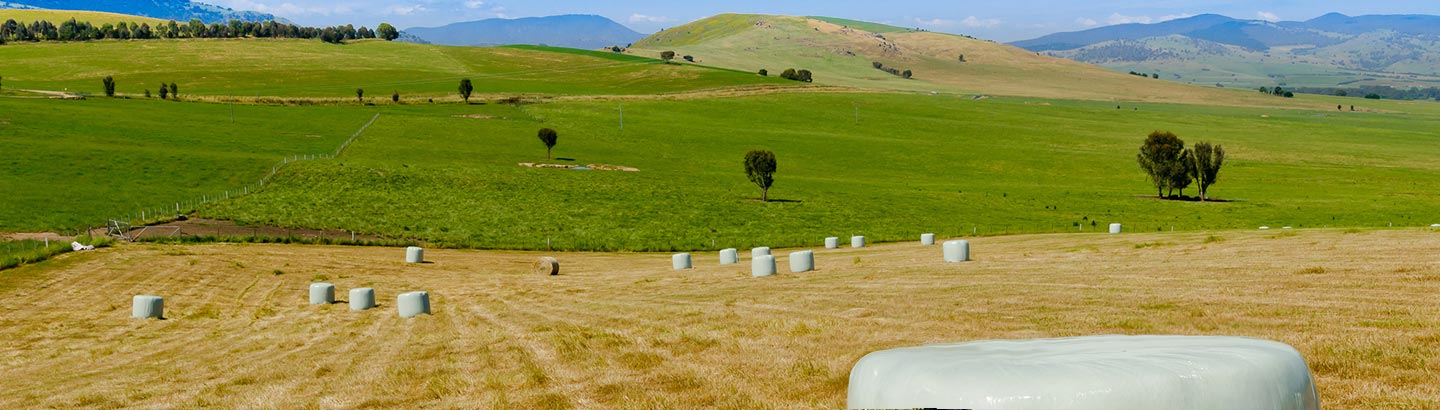 Silage Wrap Category Main Picture