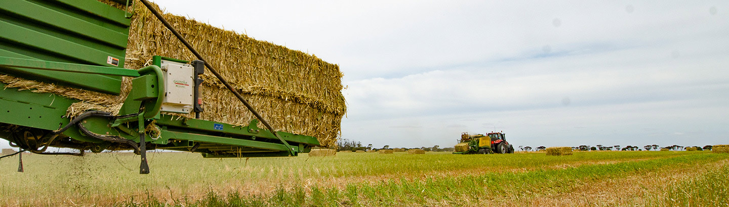 Hay Guard<sup>®</sup>