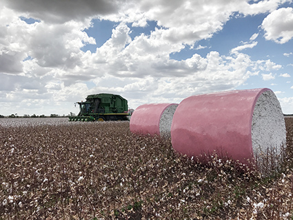 Two pink bales