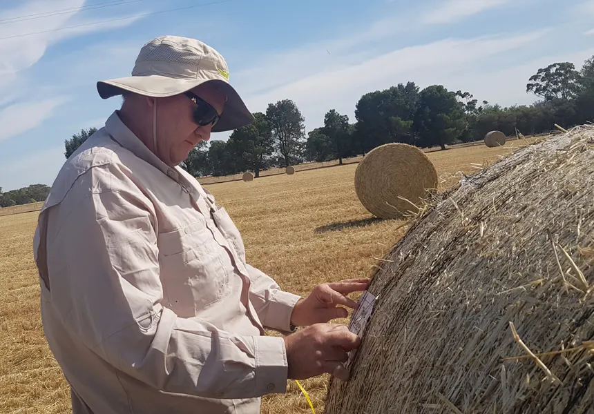 Tama technical manager checking a round bale during field trials